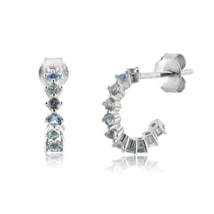 Silver Blue Omi Platinum Earrings