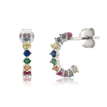 Load image into Gallery viewer, Omi Rainbow Platinum Earrings
